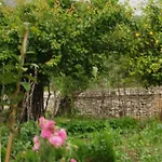 La Casa Di Nonna *