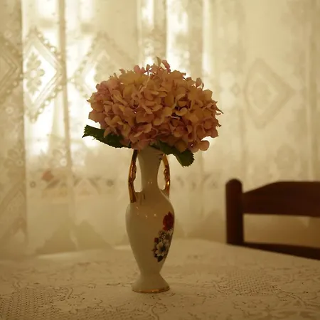 La Casa Di Nonna Apartamento Qeparo