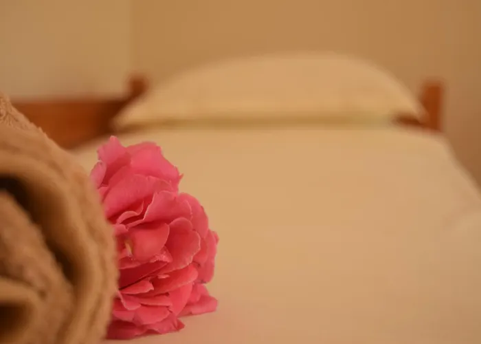 La Casa Di Nonna *
