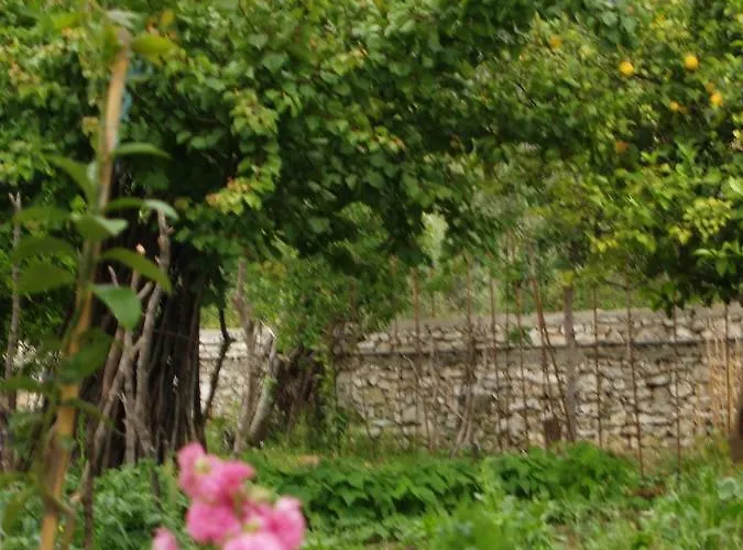 La Casa Di Nonna *
