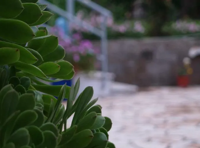La Casa Di Nonna *