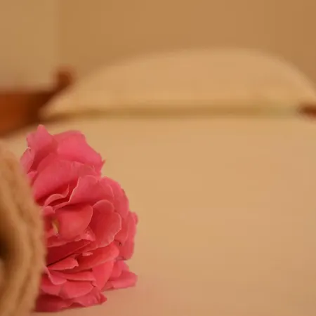 La Casa Di Nonna *