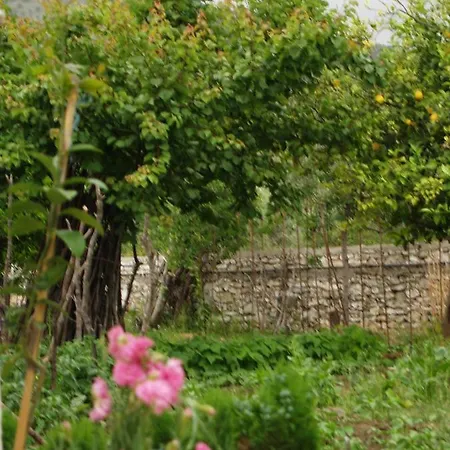 La Casa Di Nonna *