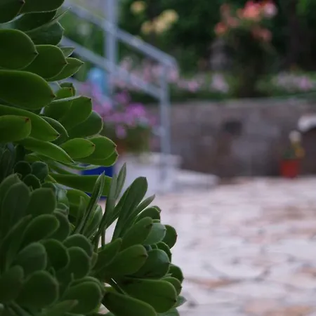 La Casa Di Nonna *